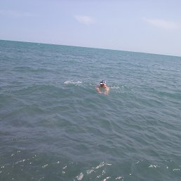 �����, �����, 47 ���