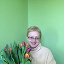 ���� ���������, ������������ - ��������� 26 ������� 2015 � ������ ���� ����������