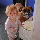 �������� �������� :-) �� ������� �������