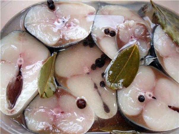 ВКУСНЕЙШАЯ СКУМБРИЯ ДОМАШНЕГО ПОСОЛА.Ингредиенты: 2 скумбрии 1 крупная луковица 5-8 шт. гвоздики ...