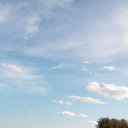 ������ ����� �� ������� ���� ����������