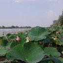 ���� ��������, ���������, 53 ���� - ��������� 6 ������� 2016