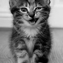 ���� Aleksey, ������, 29 ��� - ��������� 25 ������� 2015 � ������ ���� ����������