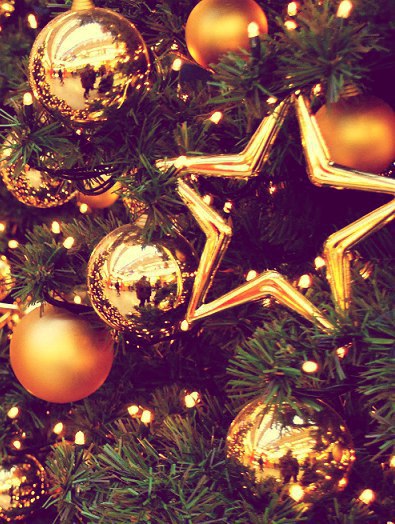   - 24  2015  07:31 - 5