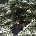 ���� �������, ����������, 28 ��� - ��������� 29 ������� 2016 � ������ ���� ����������