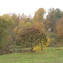   (-261), , 77  -  25  2015    