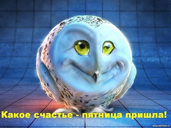   - 29  2016  17:52