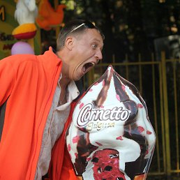 ����, ����������, 43 ����