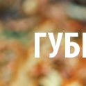  ,  -  25  2015   