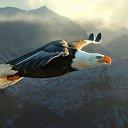  , , 41  -  10  2016    