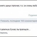 ���� �������, �����������-��-����� - ��������� 31 ������ 2016 � ������ ������ ��������