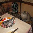 ���� ������. �� �����., ���� - ��������� 5 ������ 2016 � ������ ������ ��������