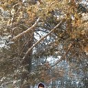 ������ 2016 �. �� ������� ���� ����������