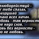 ���� �����, ������, 44 ���� - ��������� 31 ������� 2015 � ������ ������ ��������