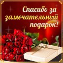 ���� ������, ��� - ��������� 8 ����� 2016 � ������ �������� ��������
