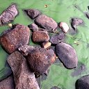 ���� ���������, �����-���������, 55 ��� - ��������� 23 ������ 2016 � ������ ���� ����������