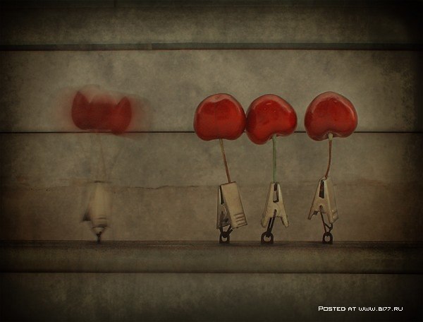 Still Life... George Rustchev - 21