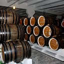 ���� �������, ���������, 67 ��� - ��������� 7 ����� 2016 � ������ ���� ����������