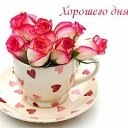 ���� �����, ��������, 62 ���� - ��������� 17 ������ 2015 � ������ ������ ��������