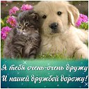 ���� ��������, ���������� - ��������� 23 ������� 2015 � ������ �������� ��������