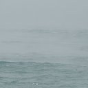 31.12.2015 �� ������� �����, ����