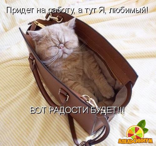  - 24  2015  03:07