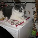 ���� ������. �� �����., ���� - ��������� 5 ������ 2016 � ������ ������ ��������