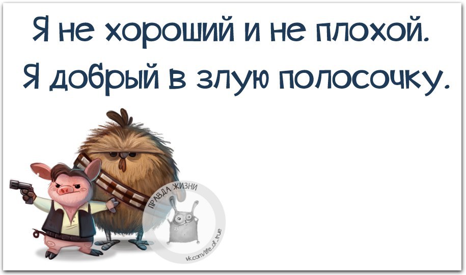   - 11  2016  13:11