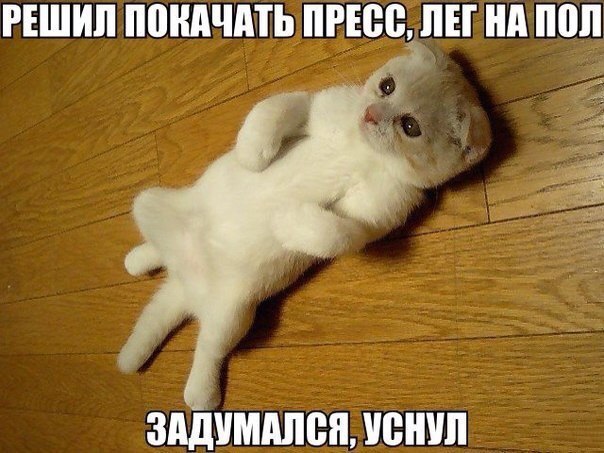      - 1  2015  08:30
