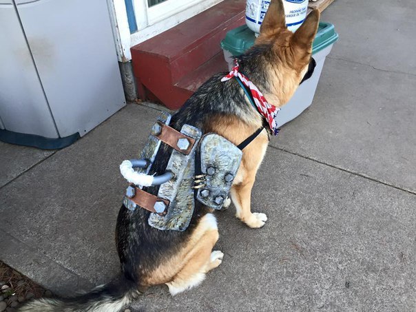   Fallout 4 - 3