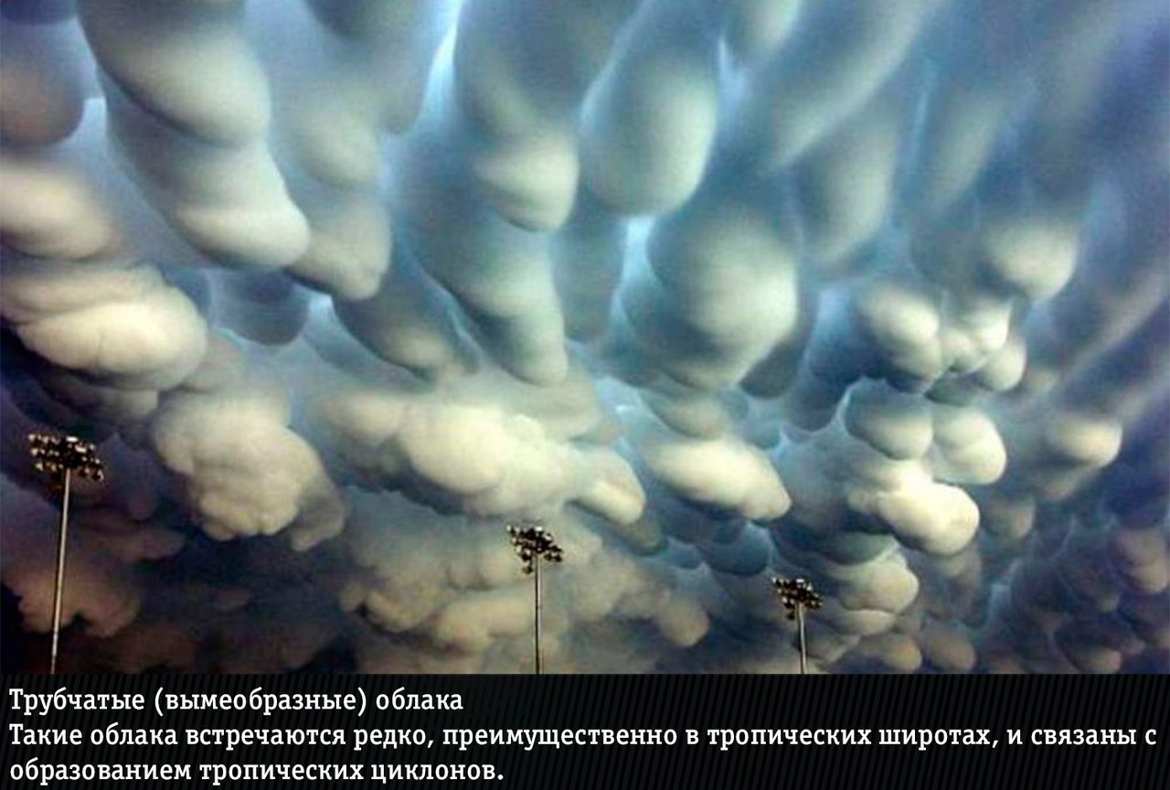 Редкие природные. Вымеобразные трубчатые облака. Вымеобразные облака природное явление. Облака мамматус облака мамматус облака мамматус. Облака мамматус явление природы.