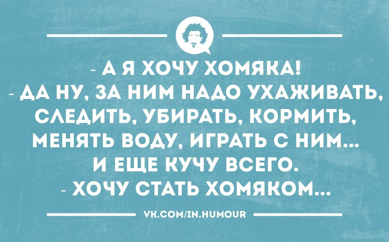  - ,  - 24  2016  13:18