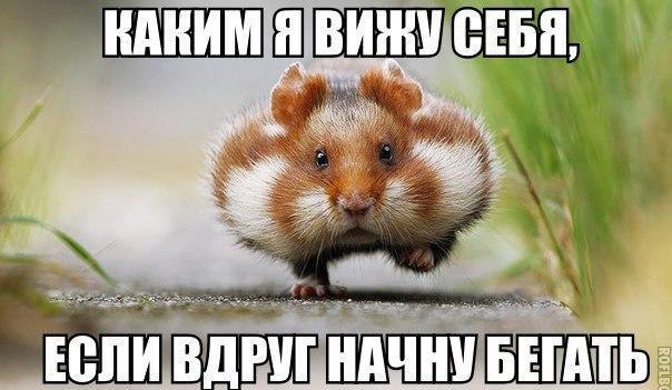  -   - 7  2016  19:45