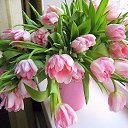 ���� ��������� ���������, ��������� - ��������� 6 ����� 2016 � ������ ���� ����������