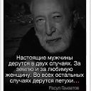 ���� �������, ����� - ��������� 8 ������� 2015 � ������ ���� ����������