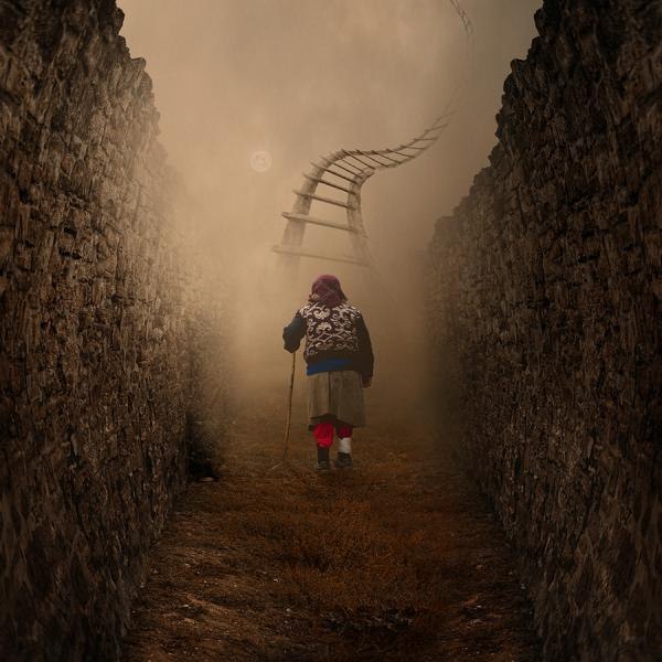    (Caras Ionut)..       ... - 20