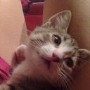 ���� ��, ������, 45 ��� - ��������� 16 ������ 2016 � ������ ���� ����������