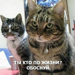 Uh-1d, �������, 38 ���