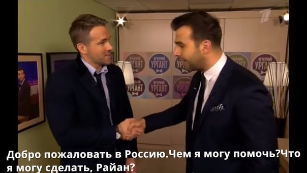      2016 