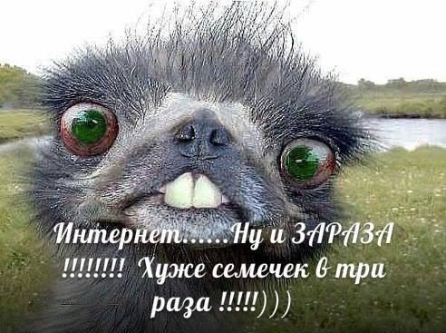  - 14  2015  18:49