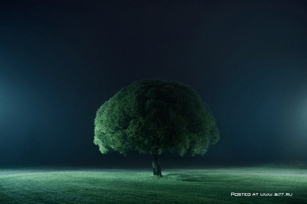 A l o n e -  Mikko Lagerstedt - 8