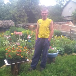 ������, ������, 63 ����