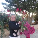 ����. ������ 2015. �� ������� ���� ����������