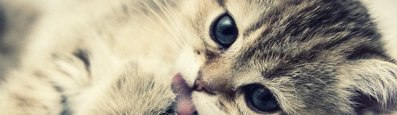 ���� �������, �����, 55 ��� - ��������� 30 ������ 2016 � ������ ������ ��������