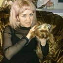 ���� �������, ������, 41 ��� - ��������� 19 ������� 2015 � ������ ���� ����������