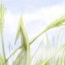 ���� �������, �������, 34 ���� - ��������� 25 ������ 2015 � ������ �WallPaper�