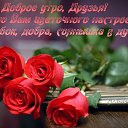 ���� ������, ������������, 64 ���� - ��������� 10 ������ 2016 � ������ ������ ��������