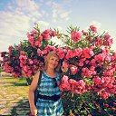 ���� �������, ������������� - ��������� 28 ������� 2016 � ������ ���� ����������