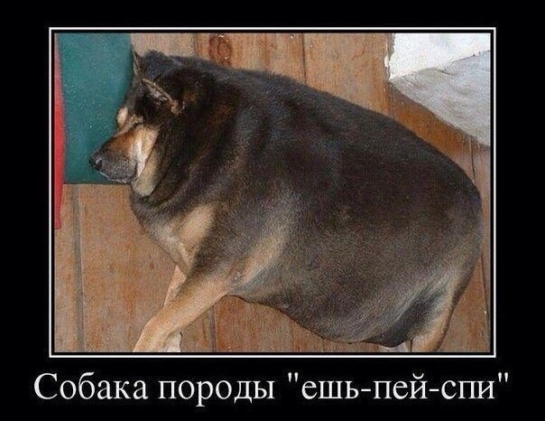   - 29  2016  23:48
