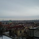  Nadezhda, -, 49  -  28  2016    
